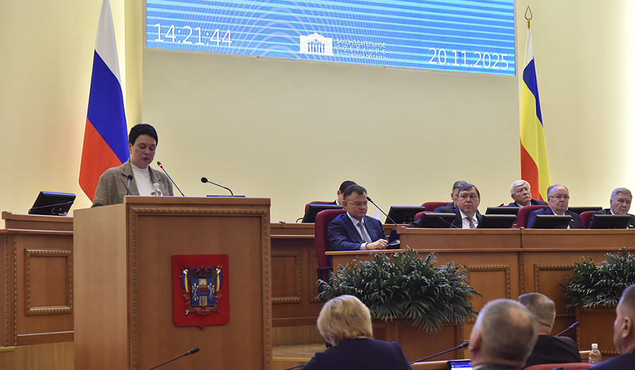 Донские депутаты приняли в первом чтении проект областного бюджета на следующие три года