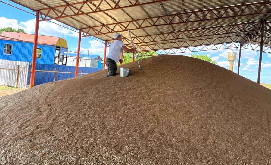 Экспорт зерна из Ростовской области в декабре сократился на 15,3%