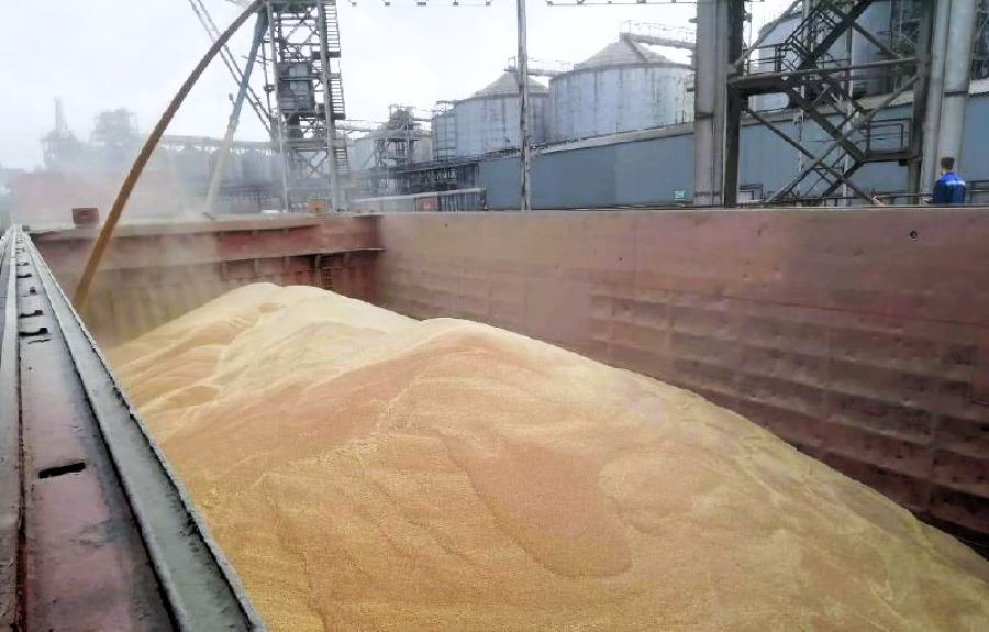 Экспорт зерна из Ростовской области в мае упал в 2,6 раза