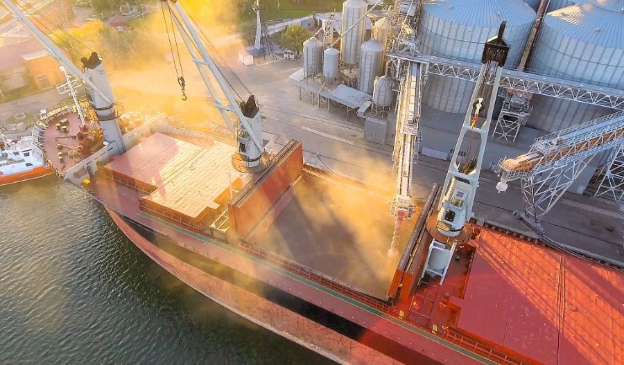 Экспорт зерна из Ростовской области в октябре сократился на 15,5%