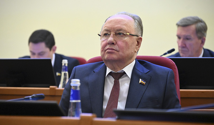 На Дону ввели налоговые льготы для многодетных матерей и бизнеса