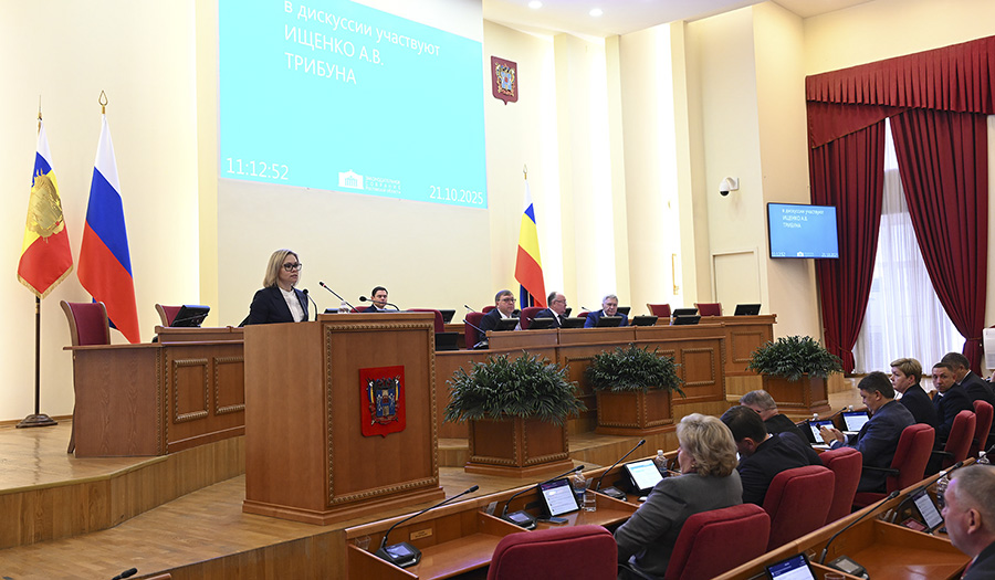 Новые меры поддержки материнства и детства приняты в Ростовской области